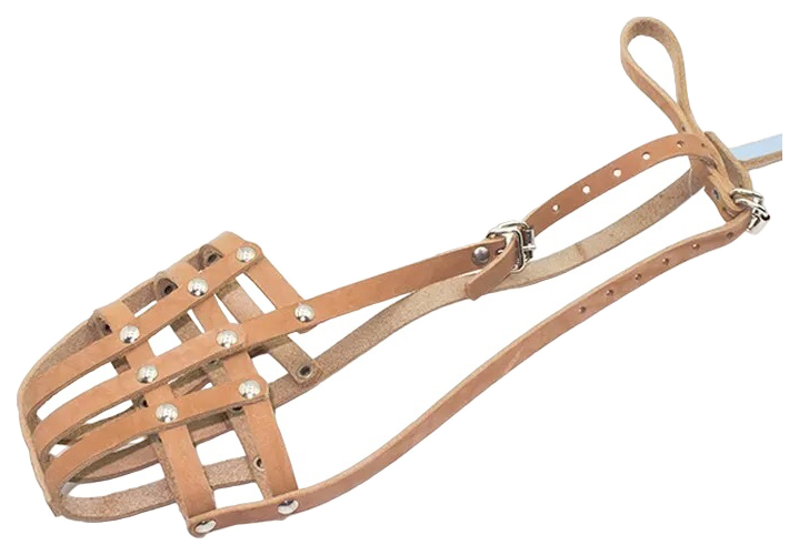 Намордник Дягилев No. 28, стаф/пит, натуральный, сетчатый