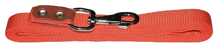 Поводок для собак Наша ручная работа, капроновый, 25 мм 3 м