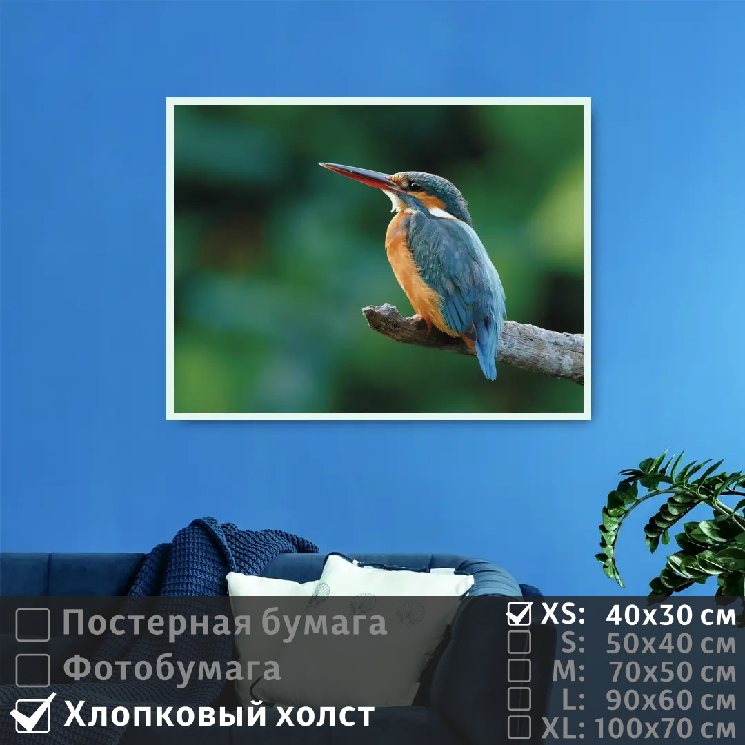 

Постер на холсте ПолиЦентр Птичка на ветке 40х30 см, ПтичкаНаВетке