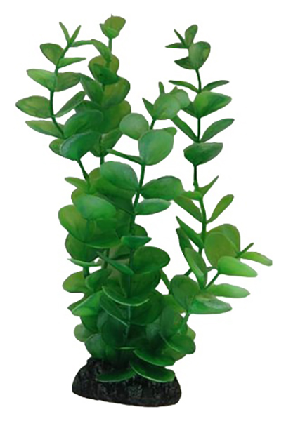 Искусственное растение Vitality Монетница, зеленый, 30 см