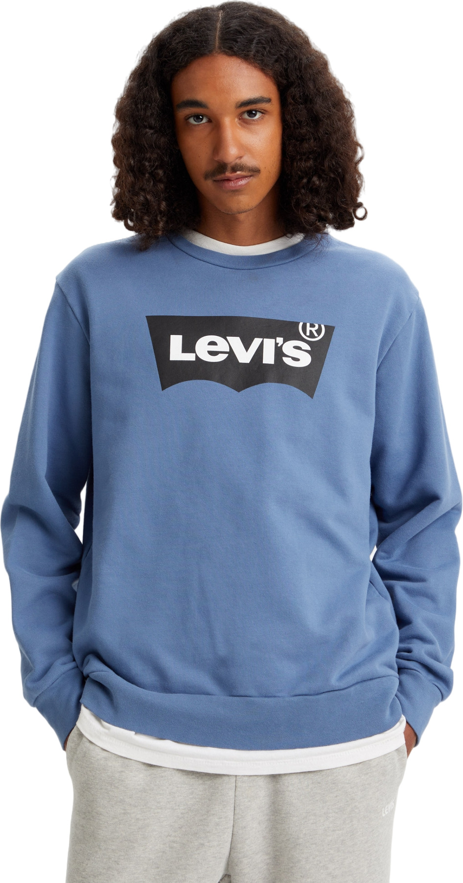 Свитшот мужской Levi's Men Standard Graphic Crew синий S