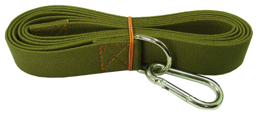 Поводок для собак Наша ручная работа, брезентовый, №35, 3 м