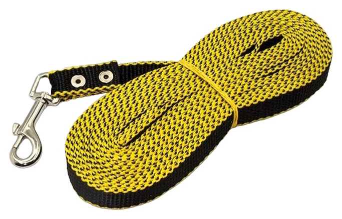 Поводок для собак Дягилев, нейлоновый, 20 мм 5 м