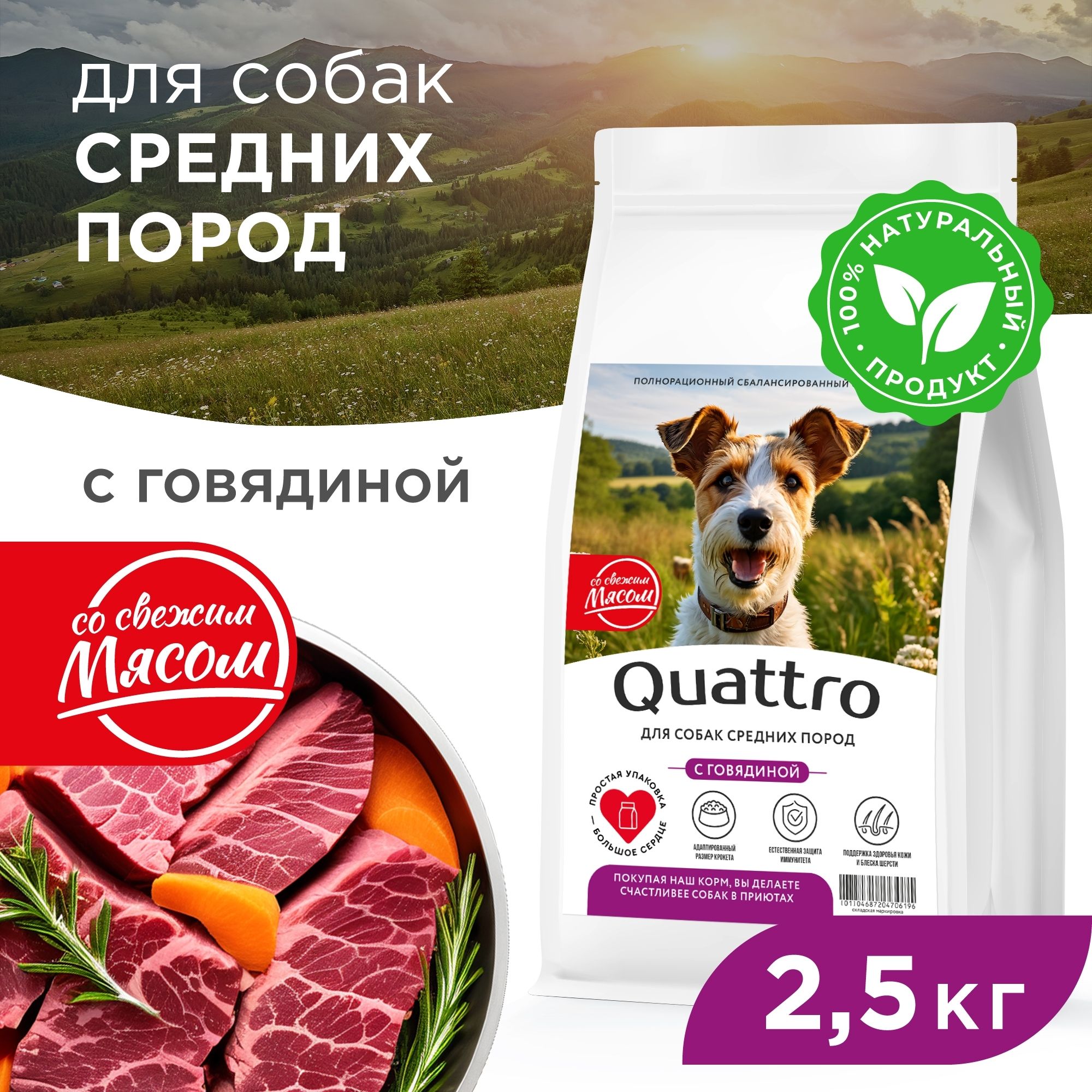 

Сухой корм для собак QUATTRO, для средних пород, говядина, 2,5 кг
