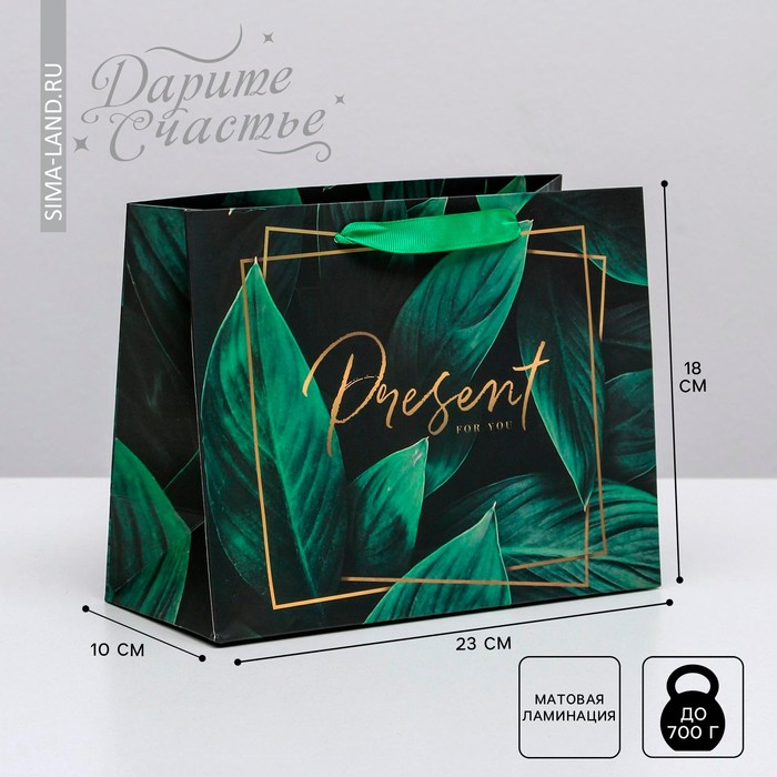 

Пакет подарочный Дарите Счастье Present for you 23 х 18 х 10 см