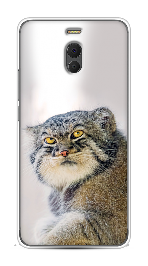 

Чехол на Meizu M6 Note "Кот манул 1", Серый;белый;желтый, 72150-1