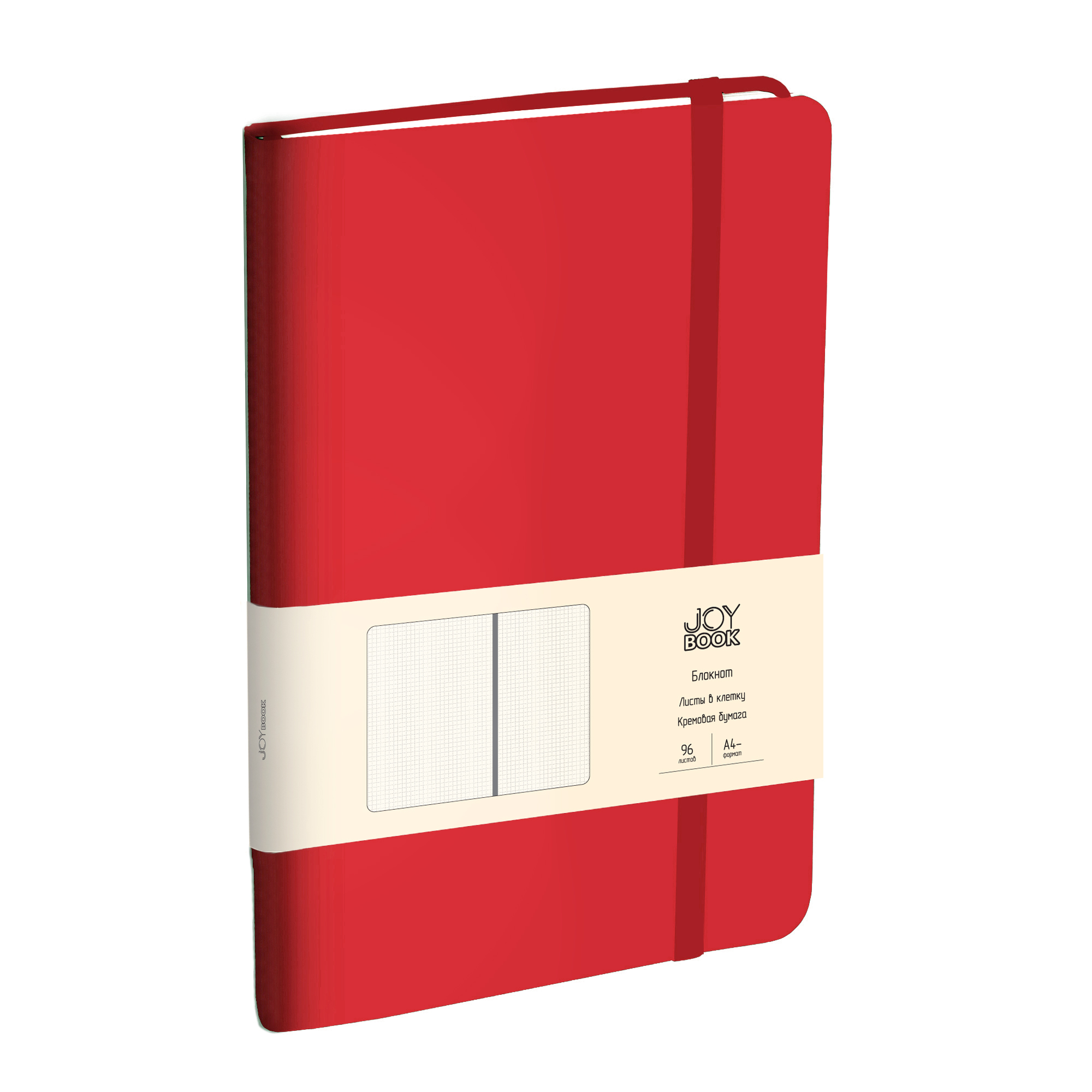 

Блокнот для записи Joy Book БДБК4963432, А4, 96л, клетка