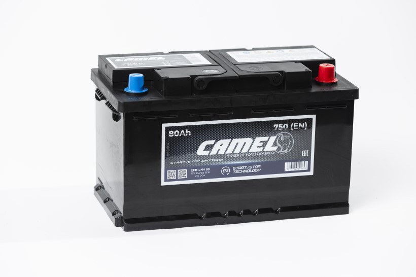 

Аккумулятор CAMEL 80 750А обр/п 315х175х190 (L4 EFB)