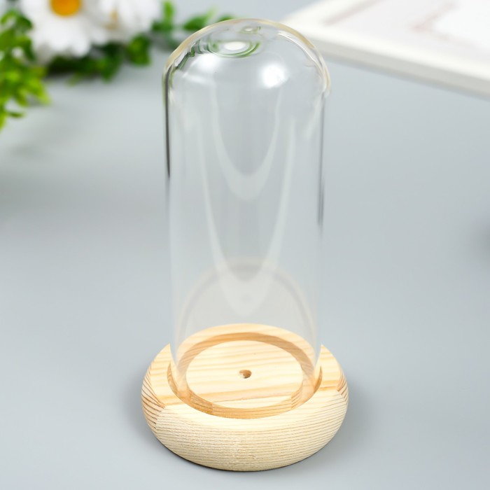 

Клош стеклянный мини 13,2х6,4х6,4 см, Прозрачный