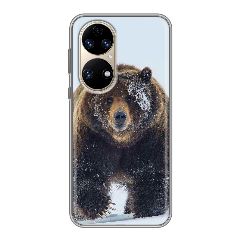 

Чехол на Хуавей П50 Про (Huawei P50 Pro) с рисунком и защитой камеры