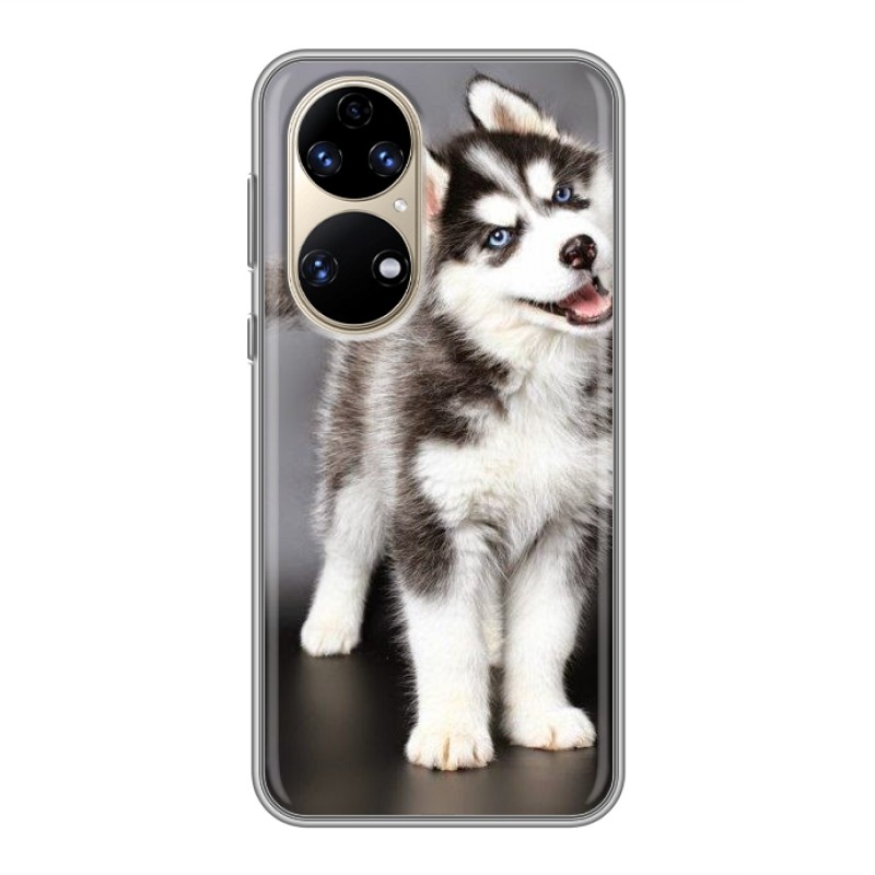 

Чехол на Хуавей П50 Про (Huawei P50 Pro) с рисунком и защитой камеры