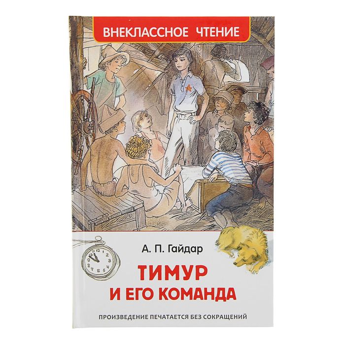 

Тимур и его команда
