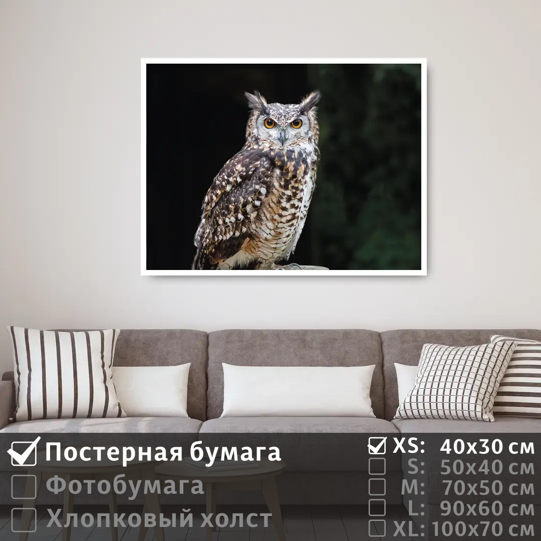 

Постер на стену ПолиЦентр Сова сидит на ветке 40х30 см, СоваСидитНаВетке