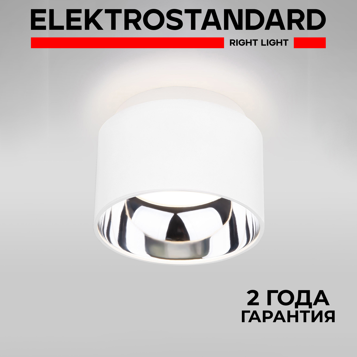 

Накладной потолочный светильник Elektrostandard Charlie 1069 GX53 WH белый матовый, Charlie 190923