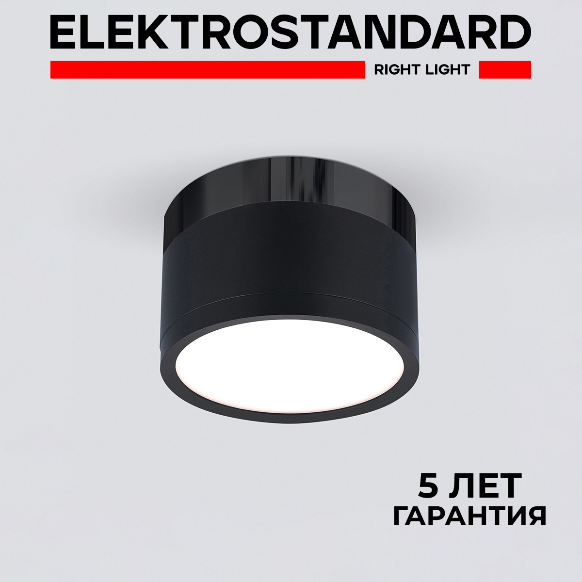 Накладной LED светильник Elektrostandard DLR029 10W 4200K черный матовый/черный хром