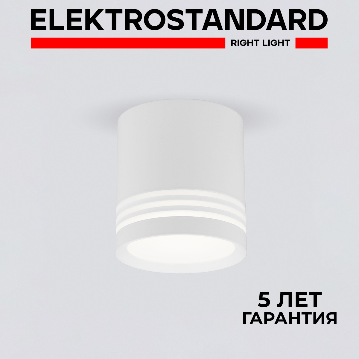 

Накладной светодиодный светильник Elektrostandard Topper DLR032 6W 4200K белый матовый, Topper точка 190923