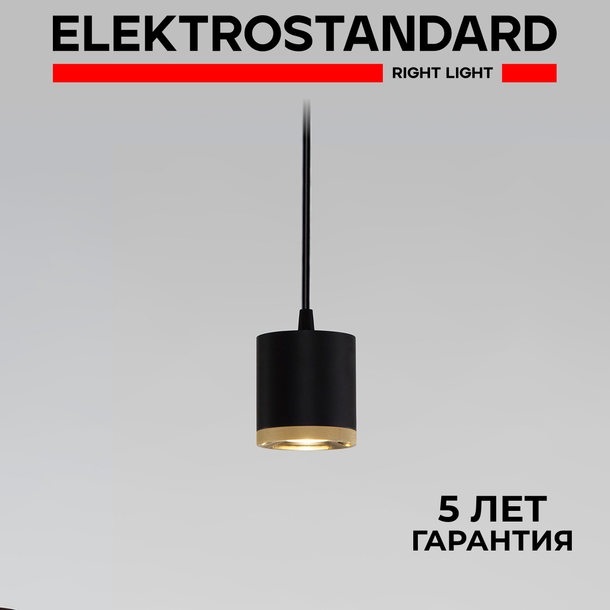 

Подвесной светильник Elektrostandard Lead 50243 LED 12W 4200K чёрный с металл. плафоном, Lead 190923