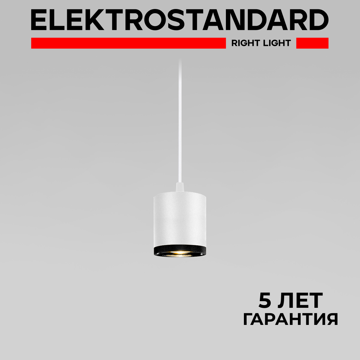 

Подвесной светильник Elektrostandard Lead 50243 LED 12W 4200K белый с металл. плафоном, Lead 190923