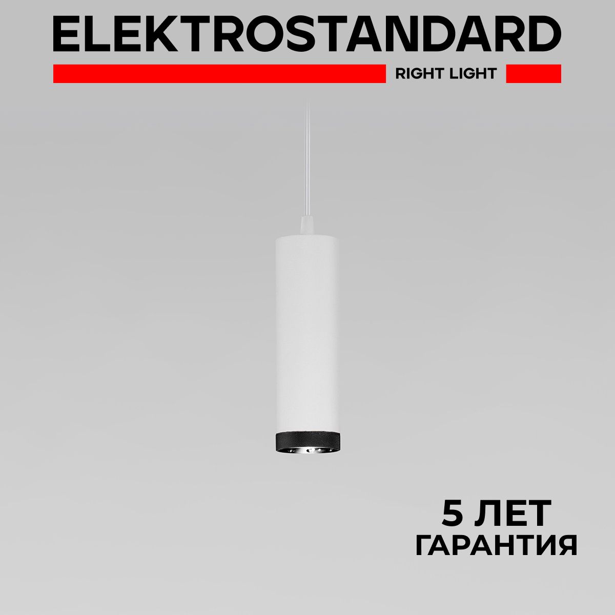 Подвесной светильник Elektrostandard Lead 50244 LED 9W 4200K белый с металл. плафоном