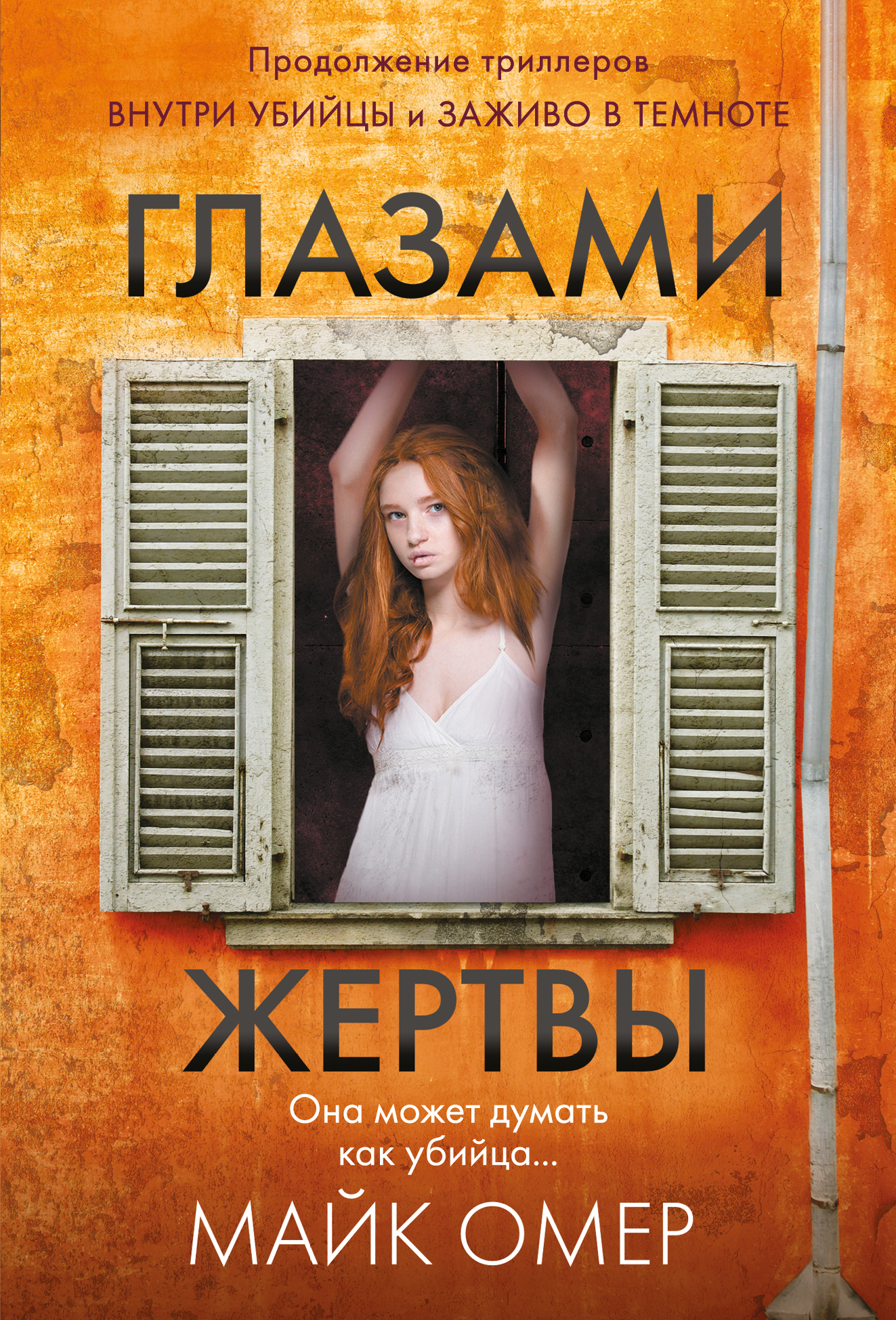 

Глазами жертвы, Книга
