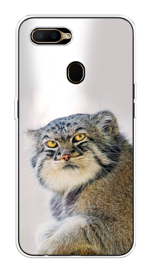 

Чехол на Oppo A5s "Кот манул 1", Серый;белый;желтый, 252350-1