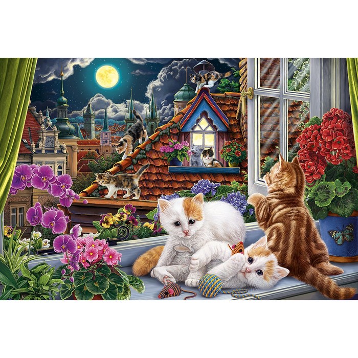 

Холст с красками 30х40 см. Ночные котята ХК-0900