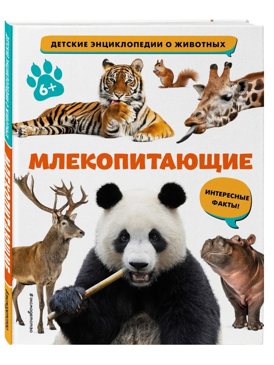 

Млекопитающие