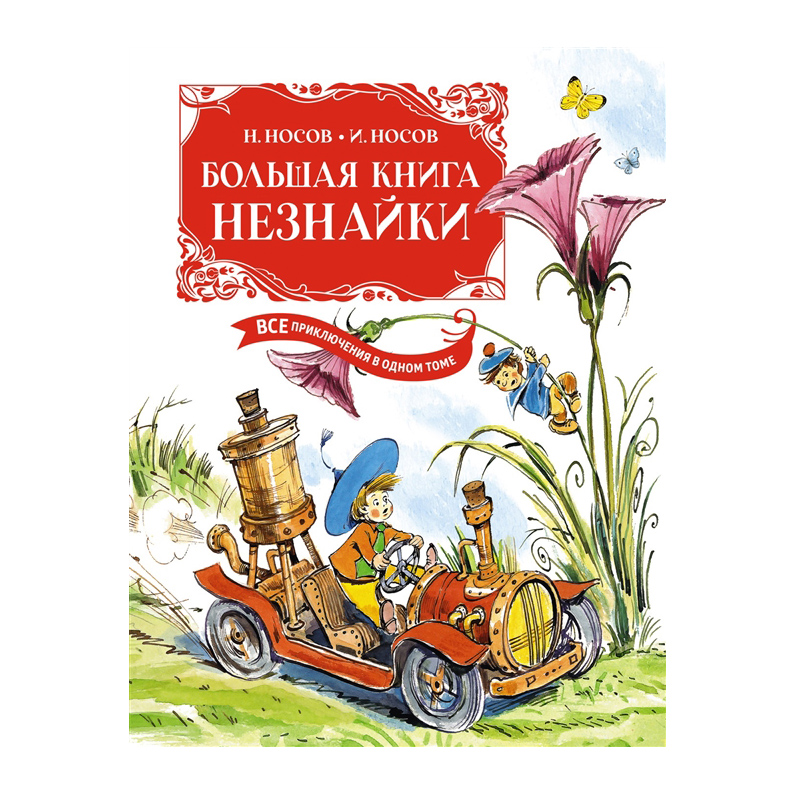 Книга незнайка отзыв. Незнайка в Каменном городе книга.