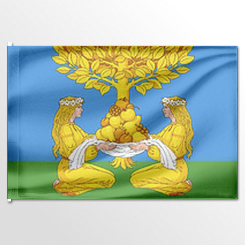 

Флаг ЦТП ФЕНИКС Марьинского сельского поселения 135x90 см, 7582-135x90