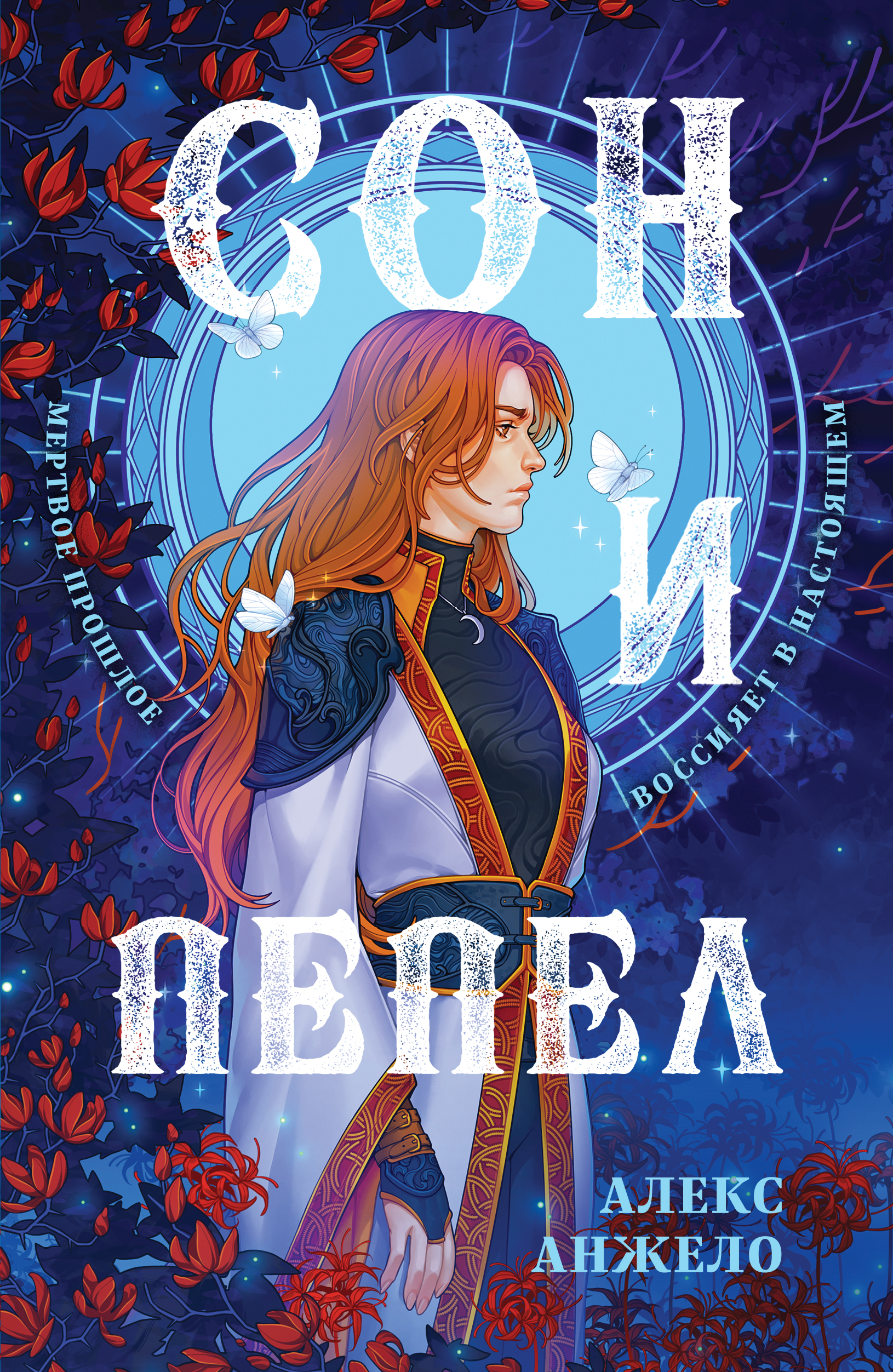 

Сон и Пепел, Книга