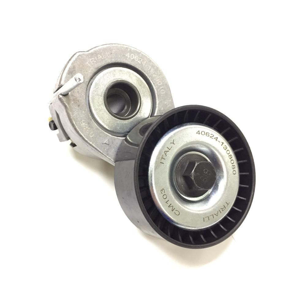 

Натяжитель Ремня Приводного С Роликом Nissan Qashqai J10e IBERIS IB5124