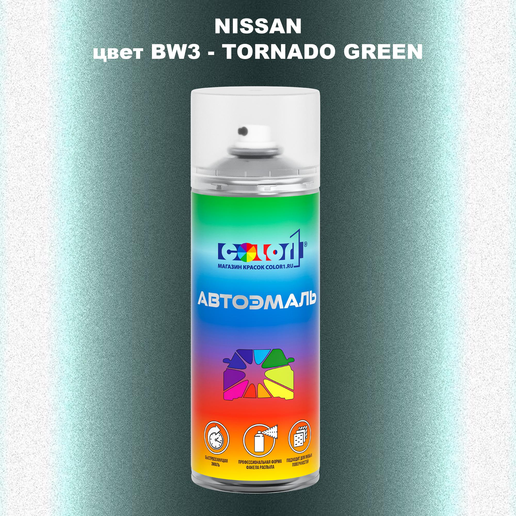 

Аэрозольная краска COLOR1 для NISSAN, цвет BW3 - TORNADO GREEN, Зеленый