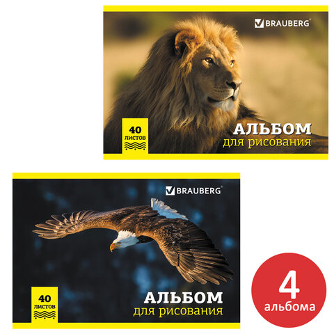 

Альбомы для рисования А4 40 л., КОМПЛЕКТ 4 шт., скоба, обложка картон, BRAUBERG, 2, 847
