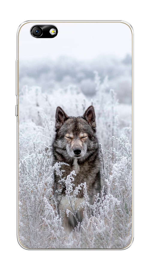 

Чехол Awog на Honor 4X "Волк в поле", Разноцветный, 63550-1