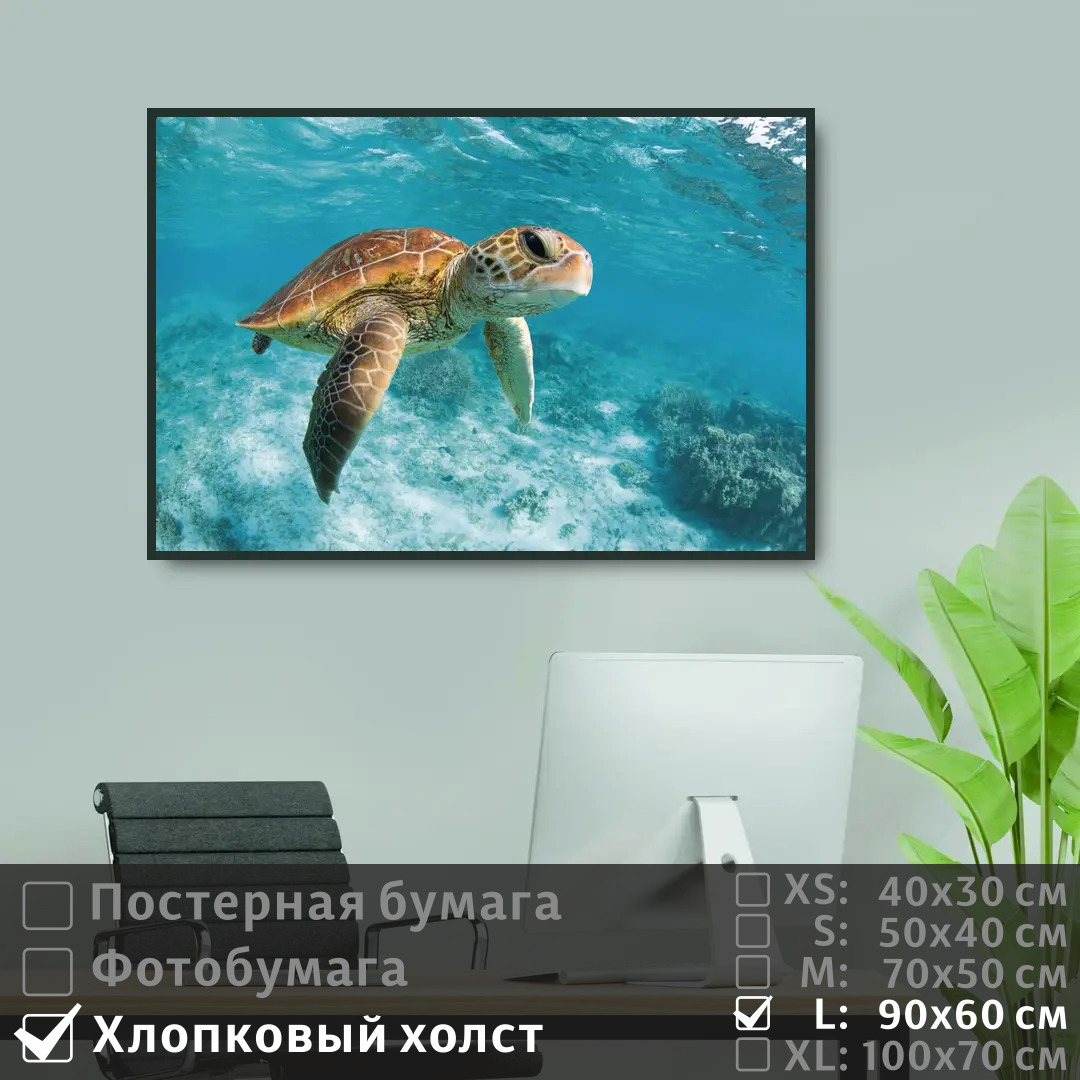

Постер на холсте ПолиЦентр Черепаха под водой в океане 90х60 см, ЧерепахаПодВодойВОкеане