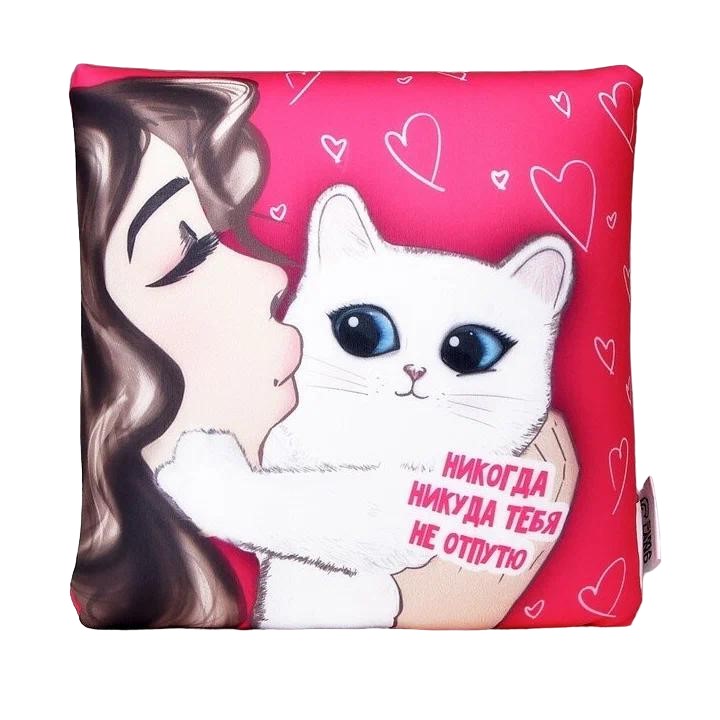 

Подушка антистресс "Никогда никуда тебя не отпутю", Разноцветный