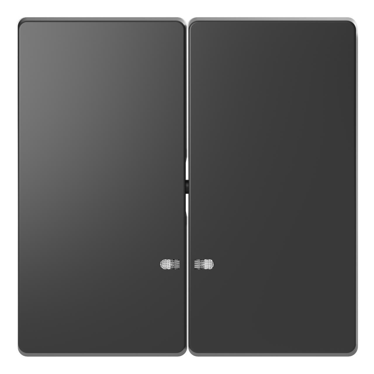 

Клавиша двойная Schneider Electric Merten D-Life MTN3420-6034, Merten D-Life