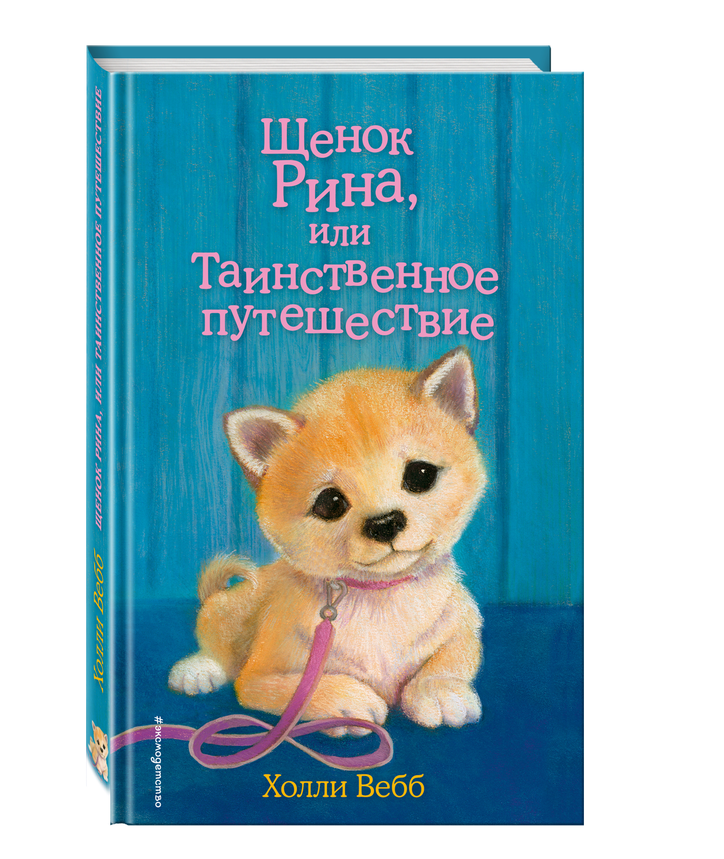

Щенок Рина, или Таинственное путешествие