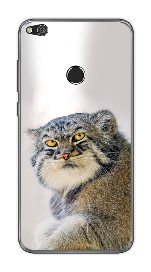 

Чехол на Honor 8 Lite/Huawei P8 Lite "Кот манул 1", Серый;белый;желтый, 63950-1