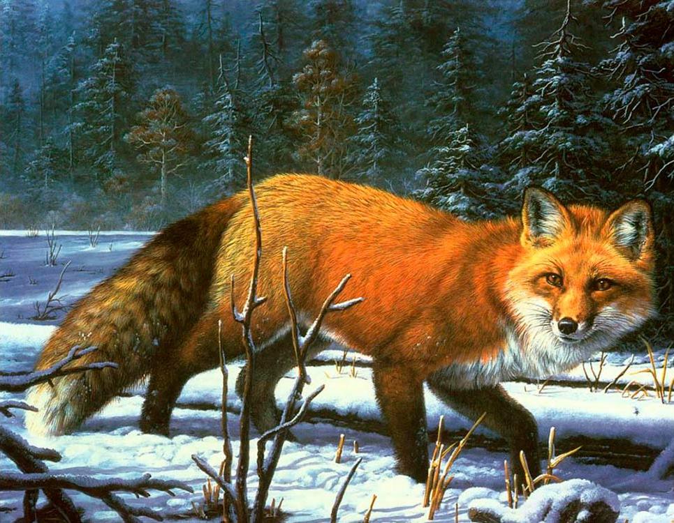 

Алмазная вышивка Алмазное Хобби Лиса, идущая по снегу, 50x60 см, Лиса, идущая по снегу