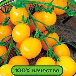 

Семена Томат черри Краски F1, 5 шт, Partner, 217581