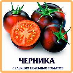 

Семена Томат Черника, 20 шт, Биотехника, 200087