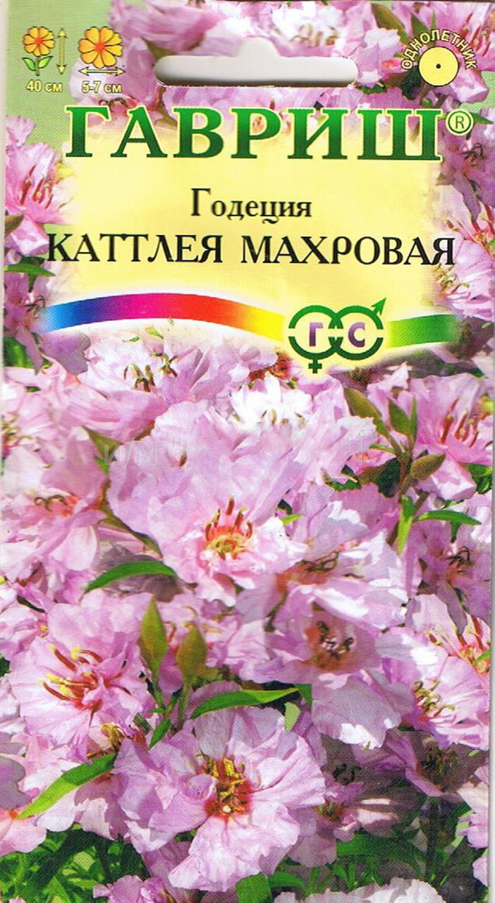 

Семена годеция Гавриш Каттлея 52977 1 уп.