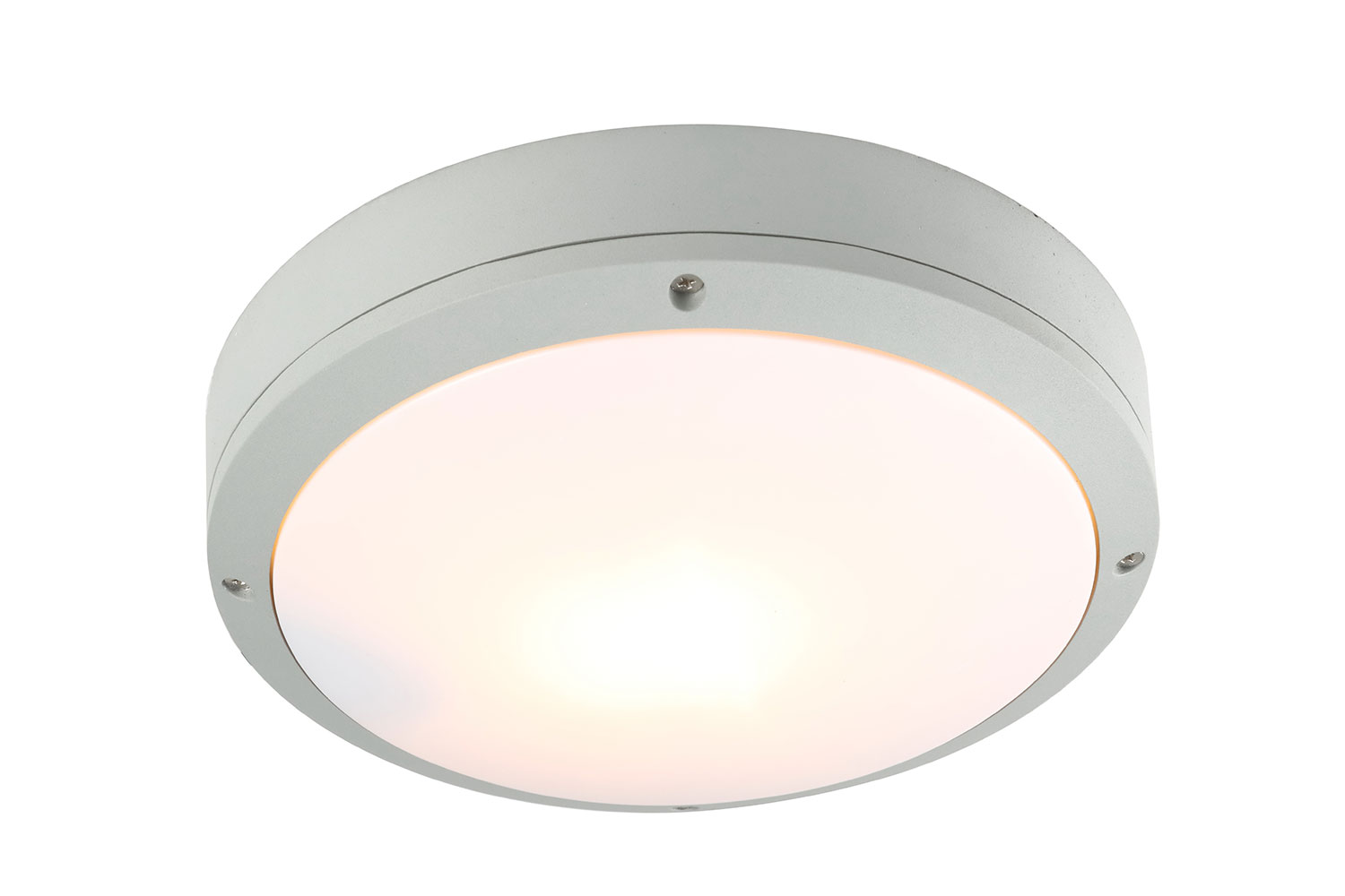 

Настенно-потолочный светильник Arte Lamp A8154PF-2GY