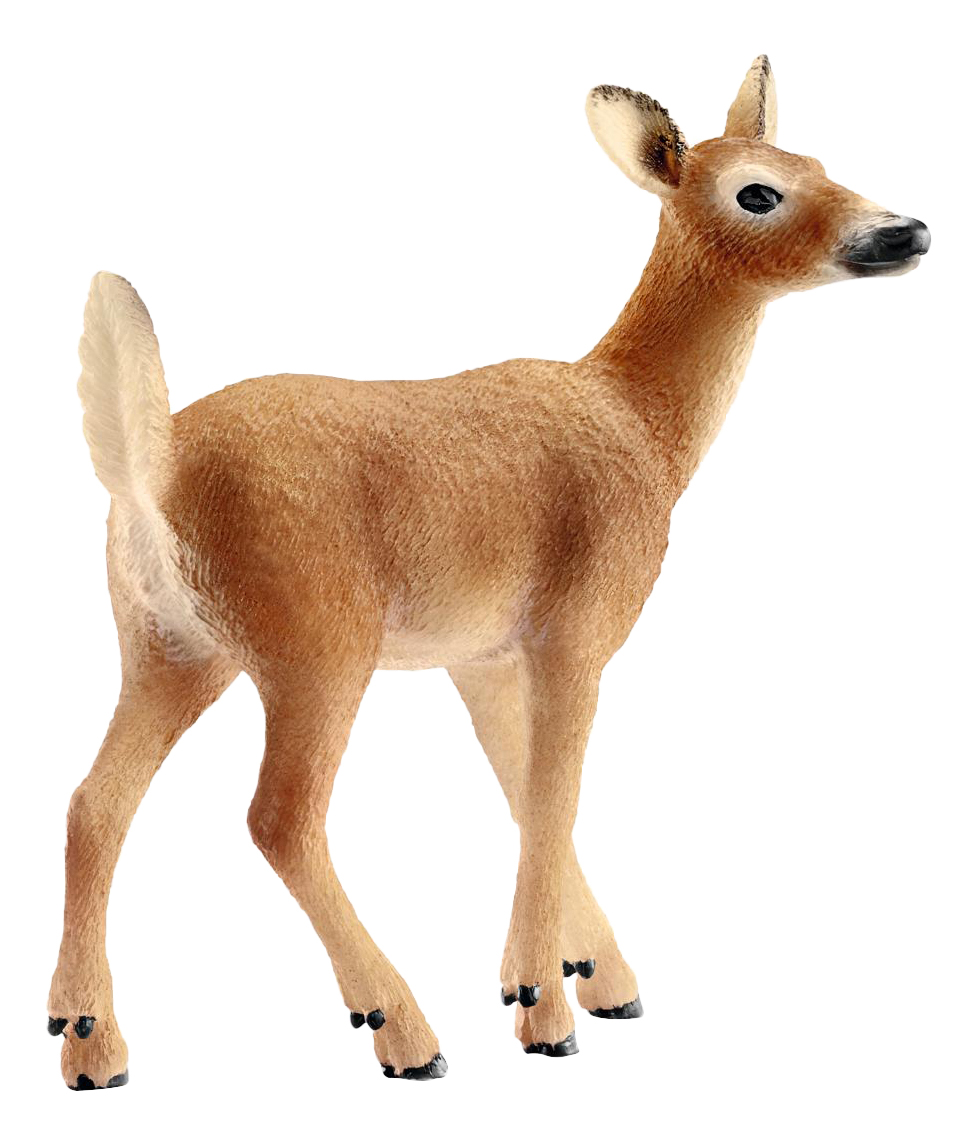 

Фигурка животного Schleich Косуля, косуля