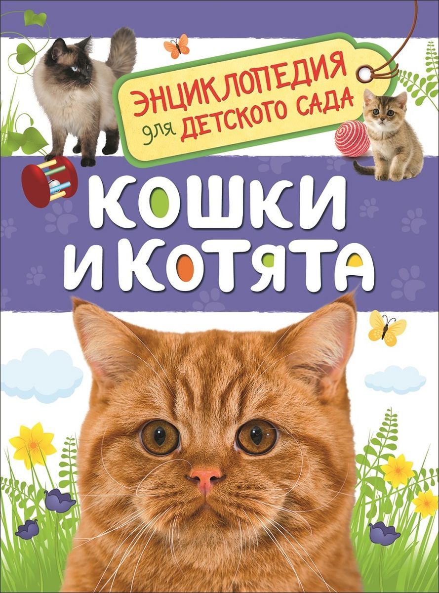 

Кошки и котята (Энциклопедия для Детского Сада)