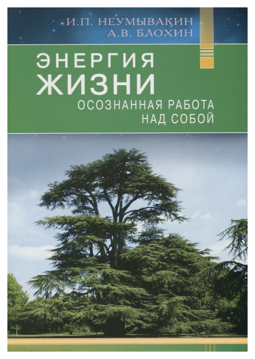 фото Книга диля. энергия жизни. осознанная работа над собой