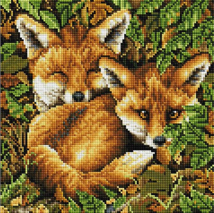 

Алмазная вышивка Белоснежка Лисы, 30x30 см, Лисы