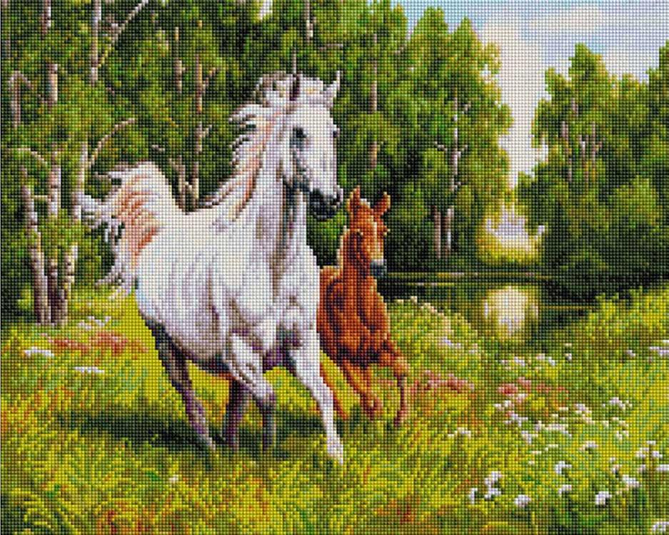 

Алмазная вышивка Белоснежка На воле Елены Самарской, 40x50 см, На воле Елены Самарской