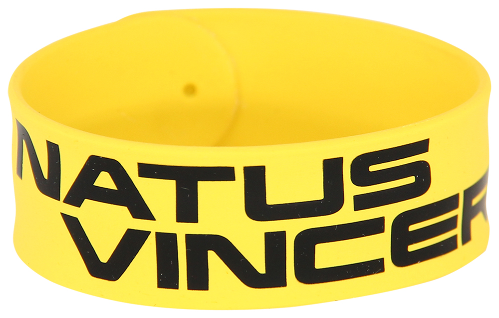 фото Браслет natus vincere: logo (fnvsilbrc17yl0000)